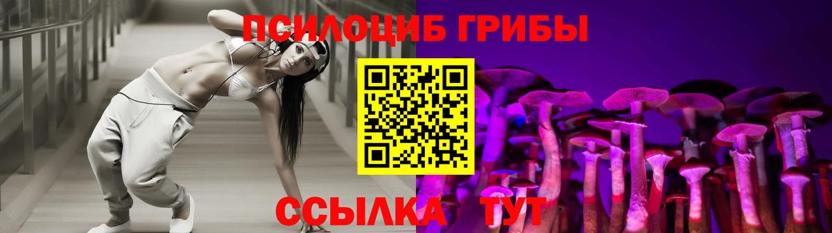 Вышний Волочёк  что такое   Вход с VPN  Псилоцибиновые грибы Magic Shrooms  Галлюциногенные грибы Magic Shrooms 